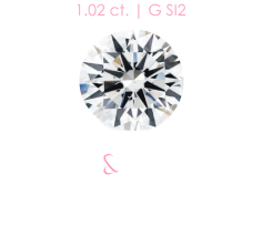 A.I. Technology Grading Comparison